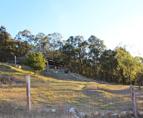 Rural / Farming commercial property sold at 1739 Wollombi Road Cedar Creek NSW 2325
