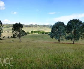 Rural / Farming commercial property sold at 636 Waldegrave Road 'Entwood' Forest Reefs NSW 2798