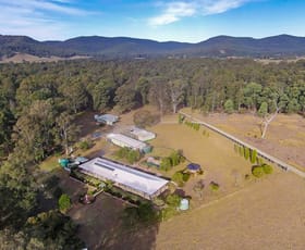 Rural / Farming commercial property sold at 243 Sandy Creek Road Mount Vincent NSW 2323