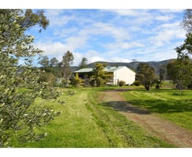 Rural / Farming commercial property sold at "Nik-Ty" 2015 Kelvin Road Kelvin NSW 2380