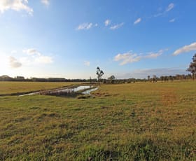 Rural / Farming commercial property sold at 18 Fletcher Street Nulkaba NSW 2325