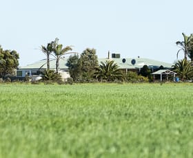 Rural / Farming commercial property sold at 317 Couper Road South Kununoppin WA 6489