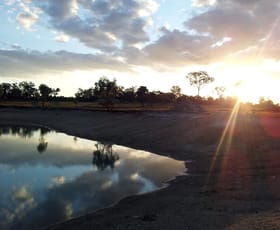 Rural / Farming commercial property sold at 29 Ellerington Lane Stanthorpe QLD 4380