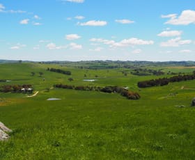 Rural / Farming commercial property sold at Millthorpe Road Blayney NSW 2799