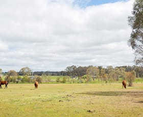 Rural / Farming commercial property sold at 3 Ranters Gully Road Muckleford VIC 3451