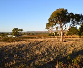 Rural / Farming commercial property sold at Lot 1 Hunt Road Mclaren Flat SA 5171