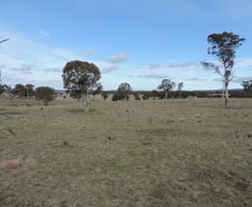 Rural / Farming commercial property sold at 63 Hazelton Road Bungonia NSW 2580