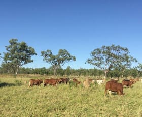 Rural / Farming commercial property sold at Lot 197 Fourth Street Forsayth QLD 4871