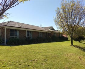 Rural / Farming commercial property sold at 364 Nyes Gate Road Millthorpe NSW 2798