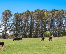 Rural / Farming commercial property sold at 244 Bundanoon Road Exeter NSW 2579
