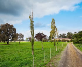 Rural / Farming commercial property sold at 3161 Pyrenees Highway Newstead VIC 3462