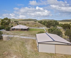 Rural / Farming commercial property sold at 1199 Allanooka Springs Road Mount Hill WA 6528