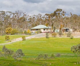 Rural / Farming commercial property sold at 124 Maldon Road Newstead VIC 3462