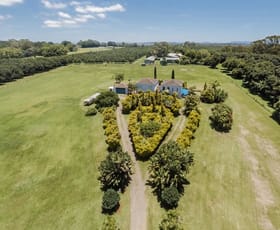 Rural / Farming commercial property sold at 391 Alphadale Road Tregeagle NSW 2480