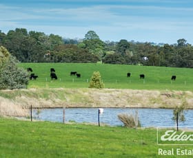 Rural / Farming commercial property sold at 1395 Torrens Valley Road Birdwood SA 5234