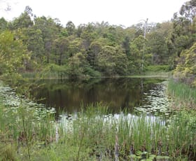 Rural / Farming commercial property sold at 112 Kundle Creek Lane, Bucca Wauka Gloucester NSW 2422 Rural / Farming commercial property sold at 112 Kundle Creek Lane, Bucca Wauka Gloucester NSW 2422