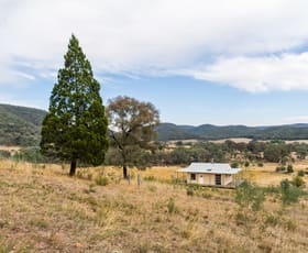 Rural / Farming commercial property sold at 2193 Kangarooby Road Gooloogong NSW 2805