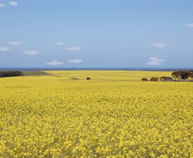 Rural / Farming commercial property for sale at 1715 Coxalll Road Munglinup WA 6450