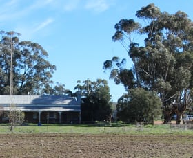 Rural / Farming commercial property sold at 1795 Mary Gilmore Way Barmedman NSW 2668