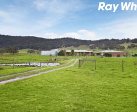 Rural / Farming commercial property sold at 155 Sanders Road Garfield VIC 3814