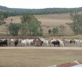 Rural / Farming commercial property sold at 114 WILSONS ROAD Murgon QLD 4605