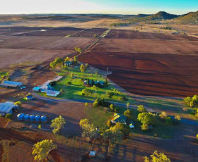Rural / Farming commercial property sold at 77 Hanrahan Road Wellcamp QLD 4350