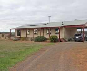 Rural / Farming commercial property sold at 2125 Elmore - Raywood Road Kamarooka VIC 3570