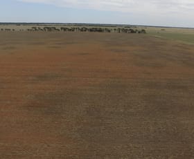 Rural / Farming commercial property sold at Narrandera NSW 2700