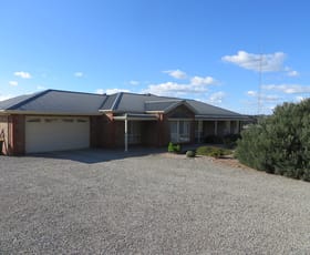 Rural / Farming commercial property sold at 229 Old Blyth Road Clare SA 5453