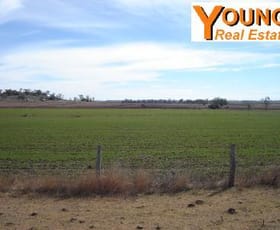 Rural / Farming commercial property sold at 72 Armitage Road Aubigny QLD 4401
