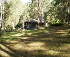 Rural / Farming commercial property sold at Cedar Brush Creek NSW 2259