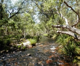 Rural / Farming commercial property sold at 204 Hunters Road Ewingar NSW 2469