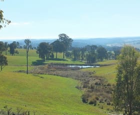 Rural / Farming commercial property sold at 829 Redbank Road Triangle Flat NSW 2795