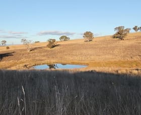 Rural / Farming commercial property sold at 1591 Mitchell Highway Bathurst NSW 2795