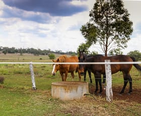 Rural / Farming commercial property sold at 1741 Toowoomba Cecil Plains Road Biddeston QLD 4401