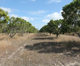 Rural / Farming commercial property sold at 22 Etna Road Mount Kelly QLD 4807
