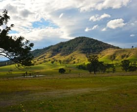 Rural / Farming commercial property sold at 66 Hillsborough Road Maitland Vale NSW 2320