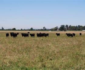 Rural / Farming commercial property sold at 191 B Road Orbost VIC 3888