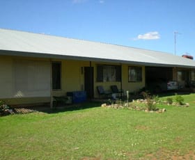 Rural / Farming commercial property sold at 0 Springvale Peak Hill NSW 2869