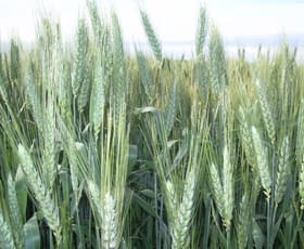 Rural / Farming commercial property sold at End of Donahue Rd Emerald QLD 4720