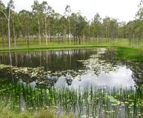 Rural / Farming commercial property sold at 342 Four Mile Lane Clarenza NSW 2460