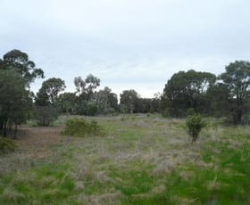 Rural / Farming commercial property sold at 47 KYTES ROAD Tara QLD 4421 Rural / Farming commercial property sold at 47 KYTES ROAD Tara QLD 4421