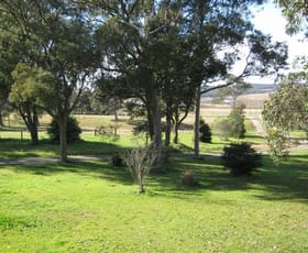 Rural / Farming commercial property sold at Cliftleigh NSW 2321