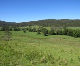 Rural / Farming commercial property sold at 2788 Kangaroo Creek Rd Kangaroo Creek NSW 2460