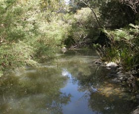 Rural / Farming commercial property sold at 3266 Blacksmith Shop Rd Newton Boyd NSW 2370