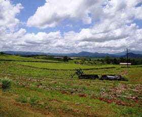 Rural / Farming commercial property sold at 17 Spry Road Nerada, QLD, 4860 Nerada QLD 4860