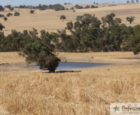 Rural / Farming commercial property sold at Williams WA 6391