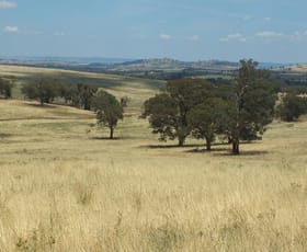 Rural / Farming commercial property sold at 1925 Binni Creek Road Cowra NSW 2794