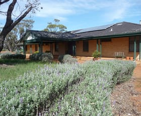 Rural / Farming commercial property sold at 329 Buckingham Road Cold Harbour WA 6302