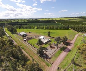 Rural / Farming commercial property sold at 17 Lewis Road Leeton NSW 2705
